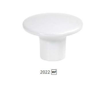 2022 biały półmat.JPG