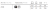 z008bn.png