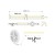 tasma-led-cob-free-cut-528-ledm-134wm (2).jpg