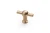 GZ-SALVA-1-18.webp