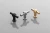 SALVA_family.webp
